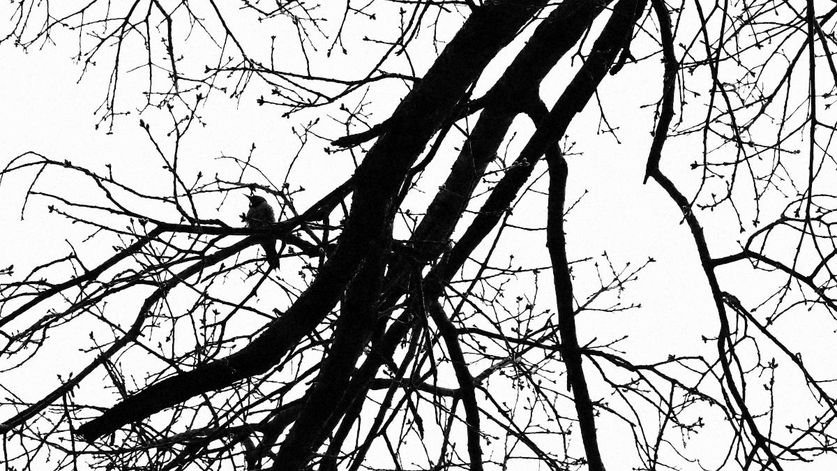 Scorcio del luogo in B/N.